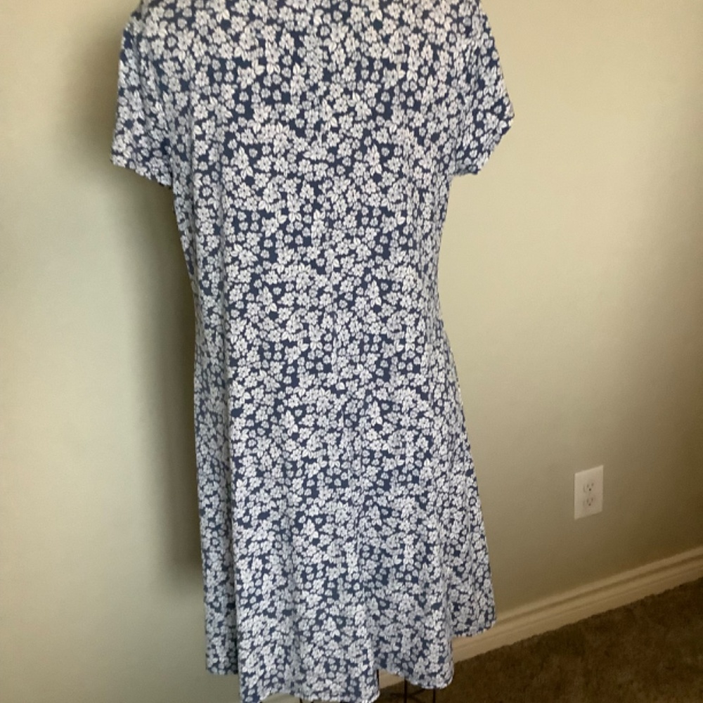 XL - Picture 6 of 7